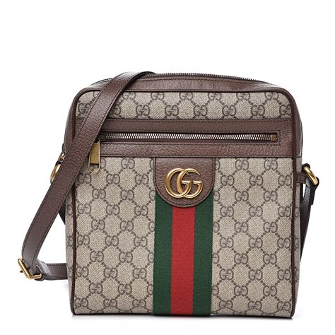 small brown Gucci purse